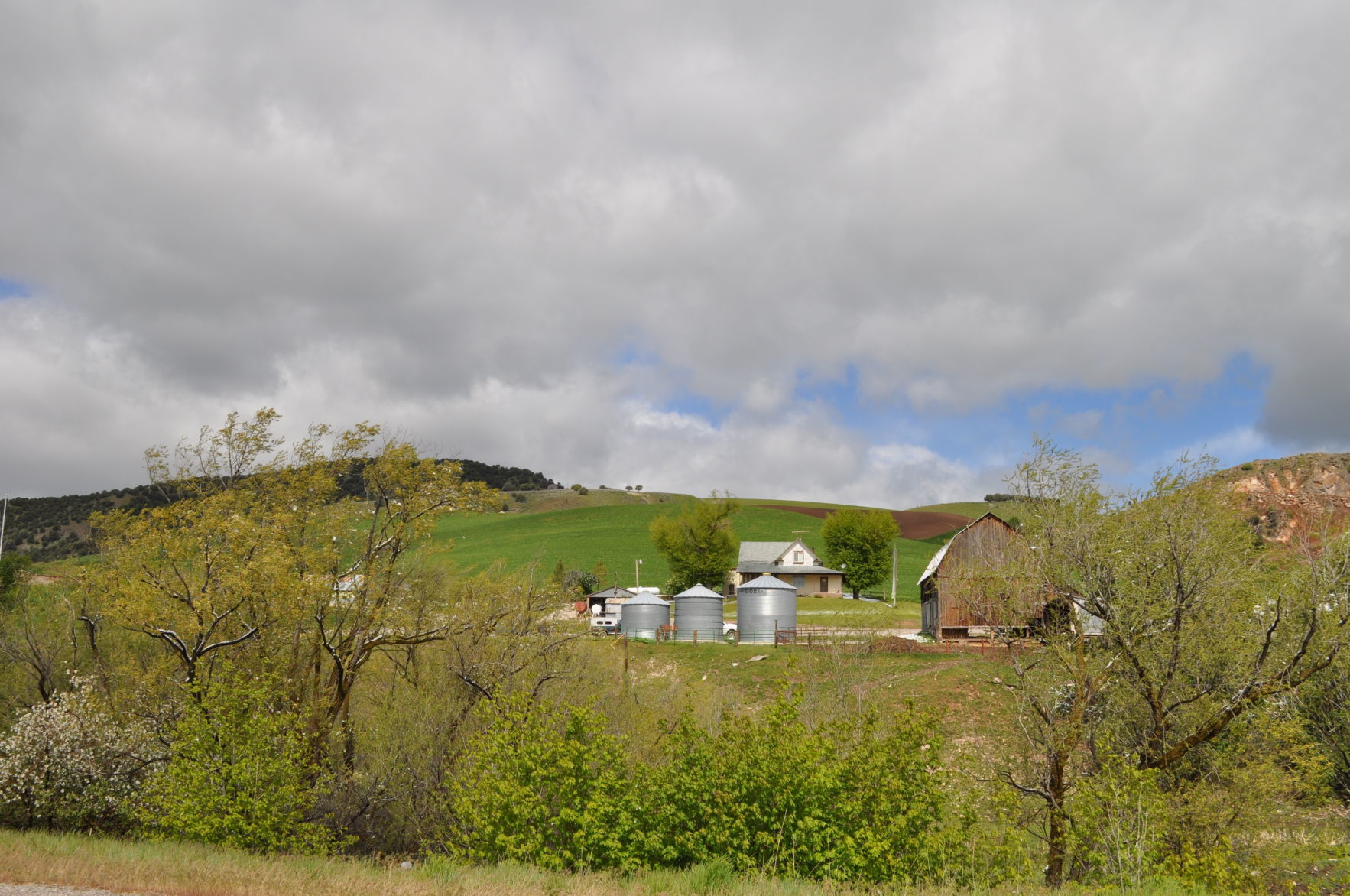 Egley_springtime photo.JPG
